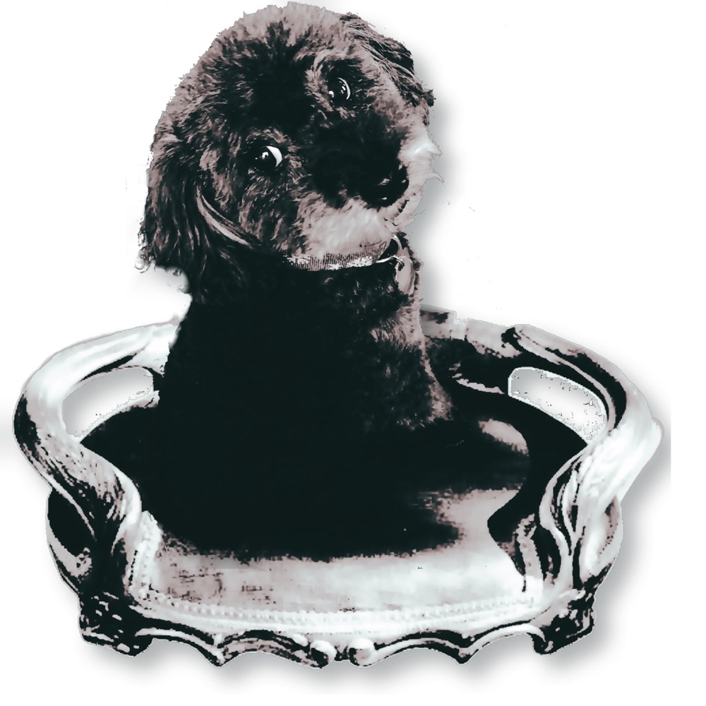 Meet your Posher, Kristen